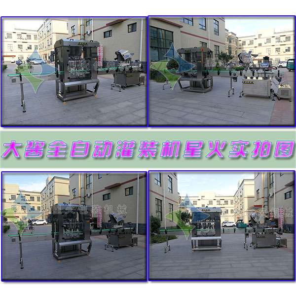 大醬全自動(dòng)灌裝機(jī)